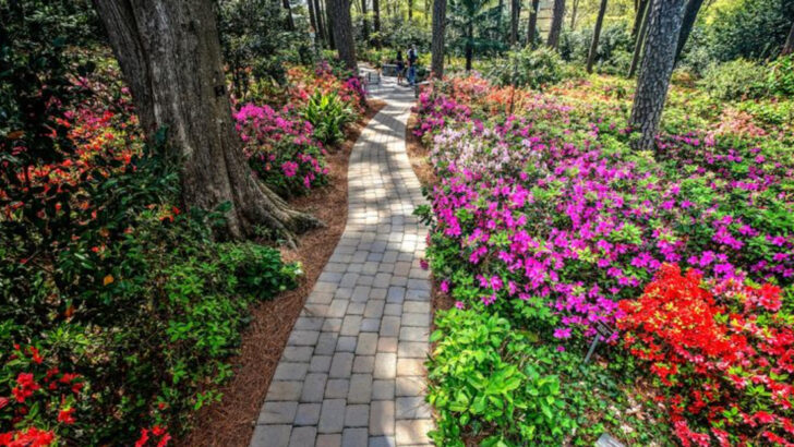 12 North Carolina Gardens Filled With Color and Fresh Air in May