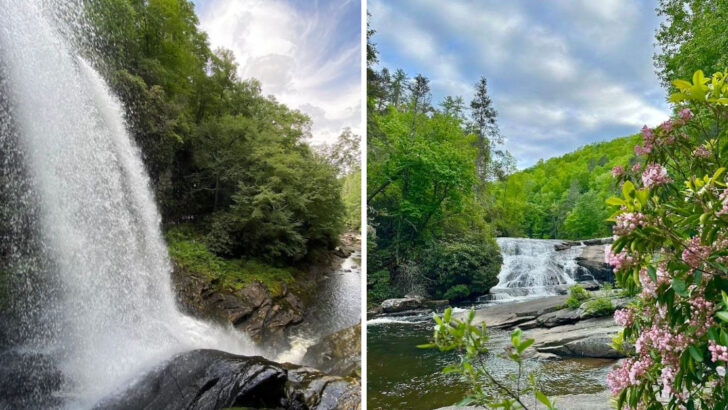 12 North Carolina Waterfalls Worth Visiting After Spring Rainfall in May