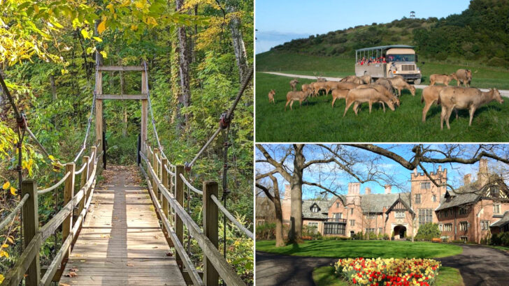 12 Ohio Bucket List Destinations That Will Completely Surprise You