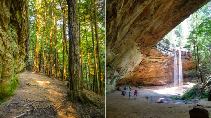 12 Ohio Hiking Trails So Beautiful They&rsquo;ll Make You Forget You&rsquo;re in the Midwest