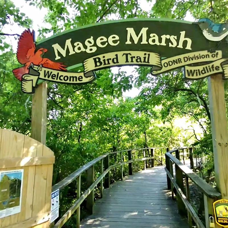 Magee Marsh Wildlife Area