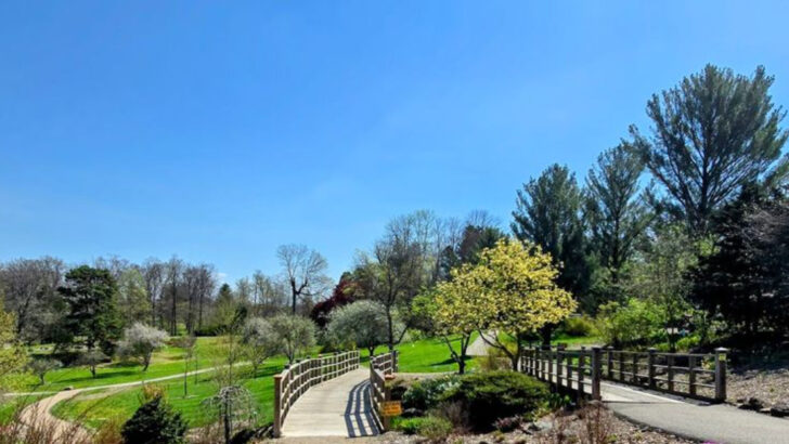 12 Ohio Parks Filled With Blooming Trees and Quiet Walking Paths in May