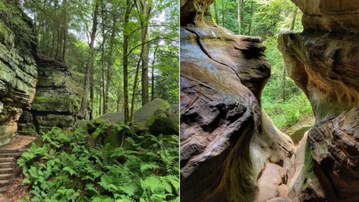 12 Ohio Trails That Turn Into Hidden Jungle Vibes In June