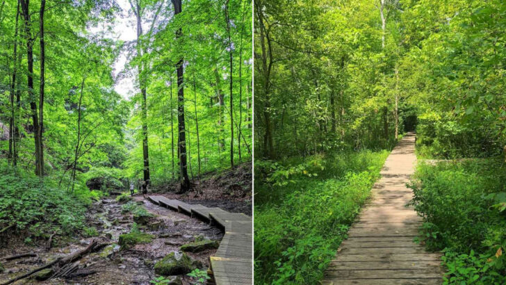 12 Ohio Walking Trails That Feel Especially Quiet During Spring in May