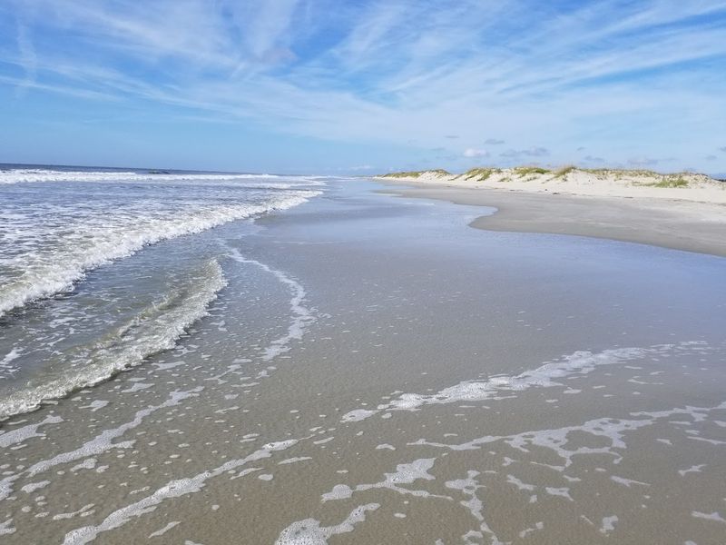 Bird Island Coastal Reserve
