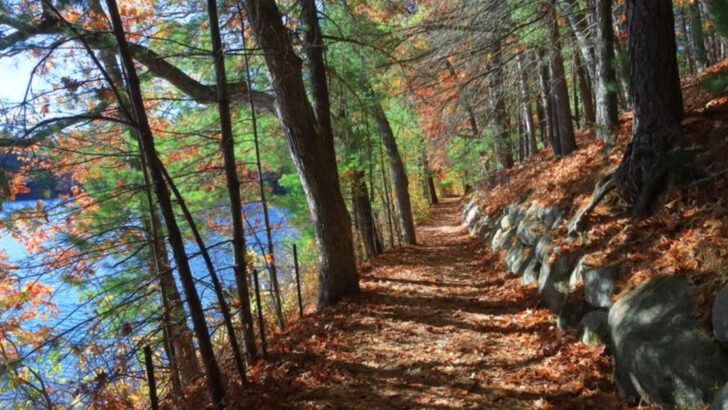 12 Peaceful Nature Walks in Massachusetts That Are Easy And Rewarding