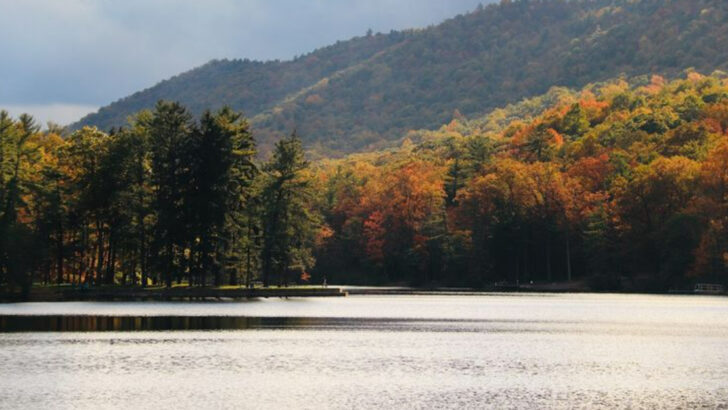 12 Pennsylvania Parks Perfect for Slow Walks and Picnic Lunches in May
