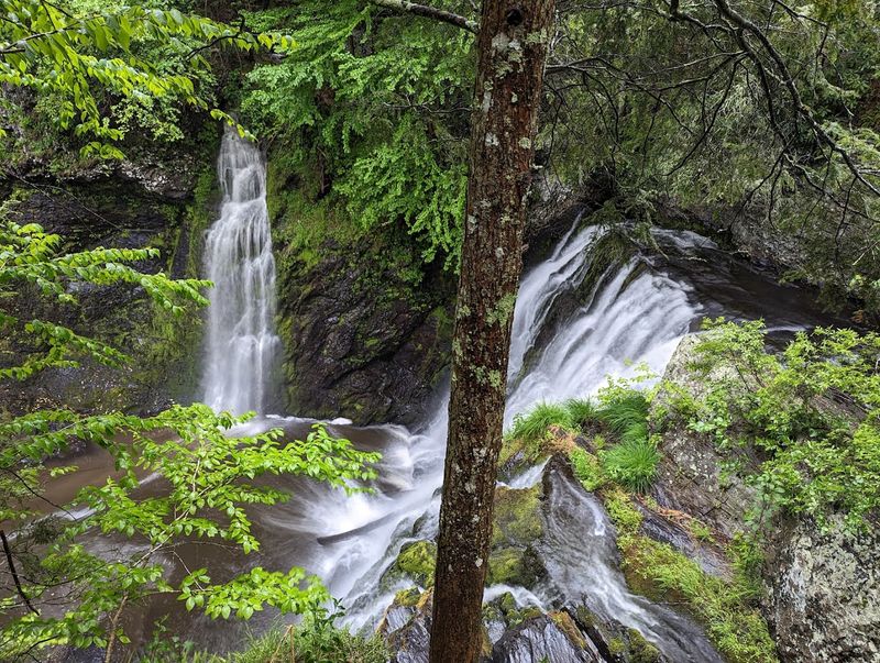 Raymondskill Falls