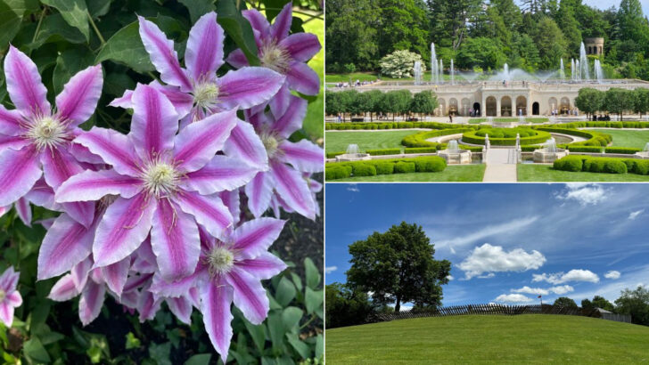 12 Pennsylvania Weekend Trips Perfect for Flower Lovers During May