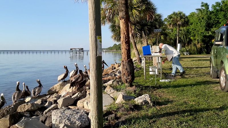 St. George Island