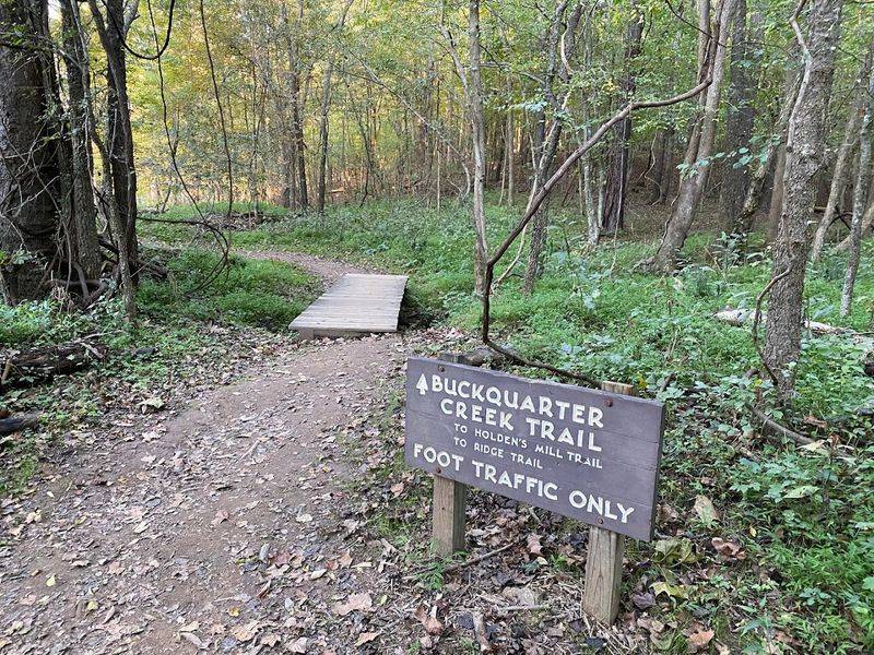 Eno River State Park (Fews Ford Access)