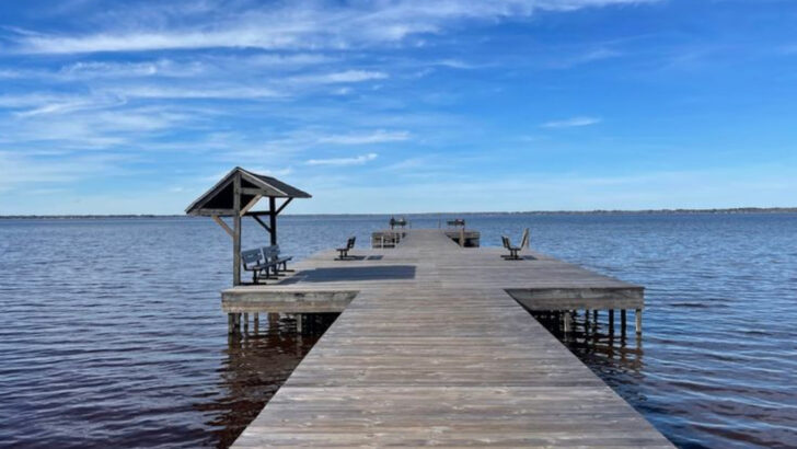 12 Quiet Nature Spots in North Carolina That Are Easy To Reach