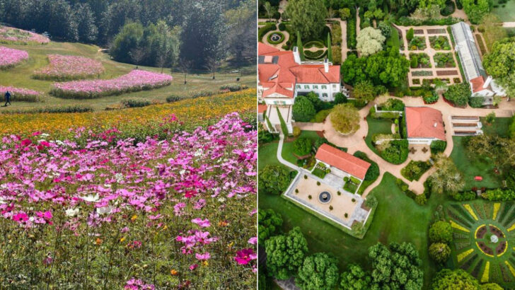 12 Secret Gardens in Georgia That Feel Like a Fairytale