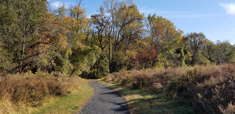 Benjamin Rush State Park