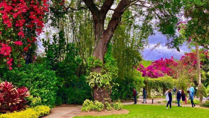 12 Stunning Flower Destinations in Florida That Come Alive With Color