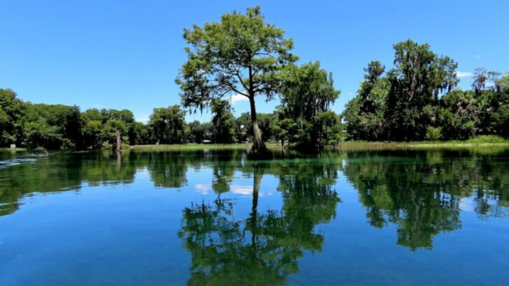 13 Breathtaking Rivers in Florida That Deserve More Attention Than the Beach