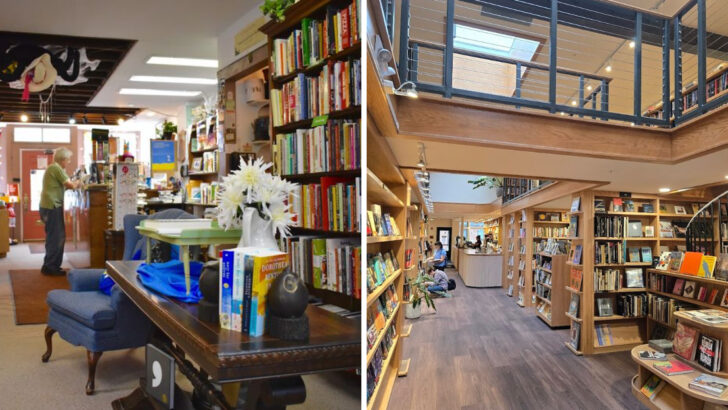 13 Cozy Ohio Bookstores Perfect for Slow Browsing on Rainy Afternoons