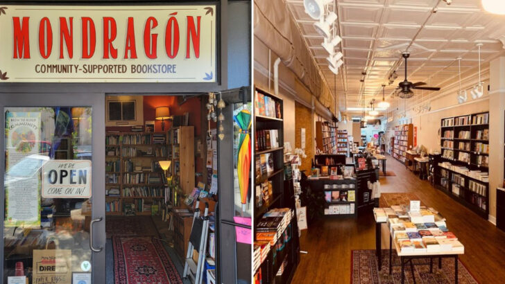 13 Cozy Pennsylvania Bookstores Perfect for Rainy Afternoons in May