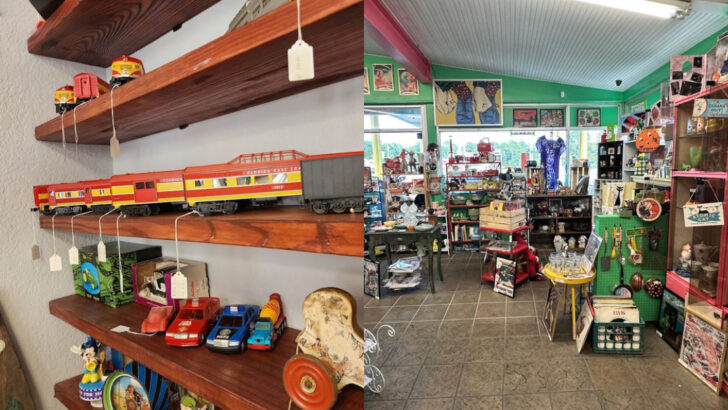 13 Florida Antique Shops Packed With Unexpected Collectibles And Strange Little Finds