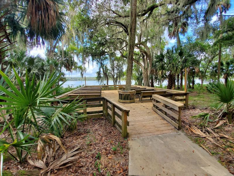 Paynes Prairie Preserve State Park