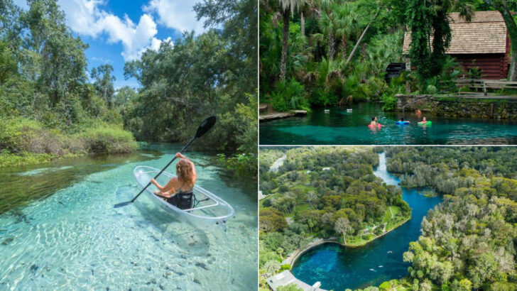 13 Florida Springs and Rivers Perfect for Warm Weather Escapes in May