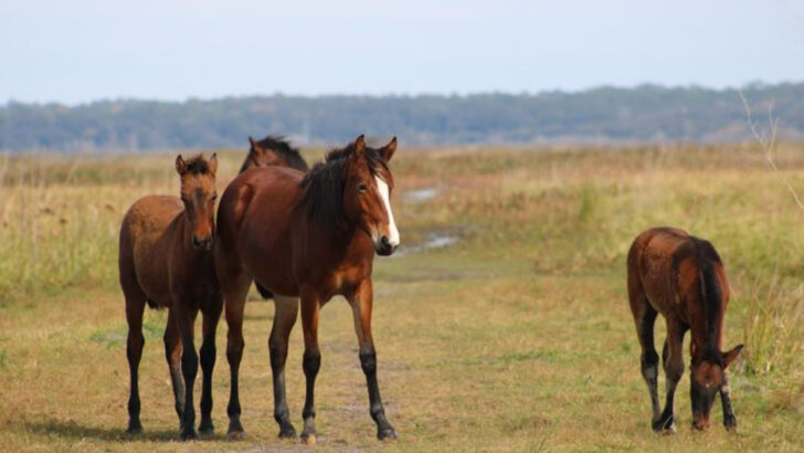 13 Florida State Parks That Make You Forget About the Coast Completely