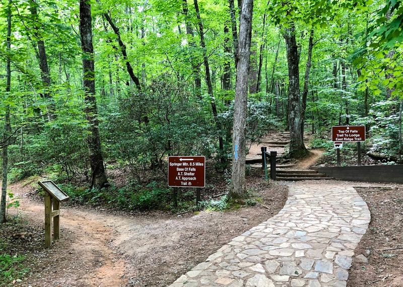 Amicalola Falls Trail