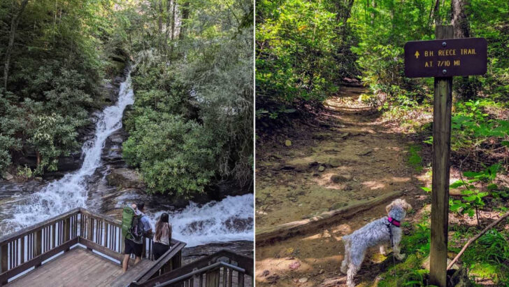 13 Georgia Trails Perfect for Waterfalls and Fresh Air