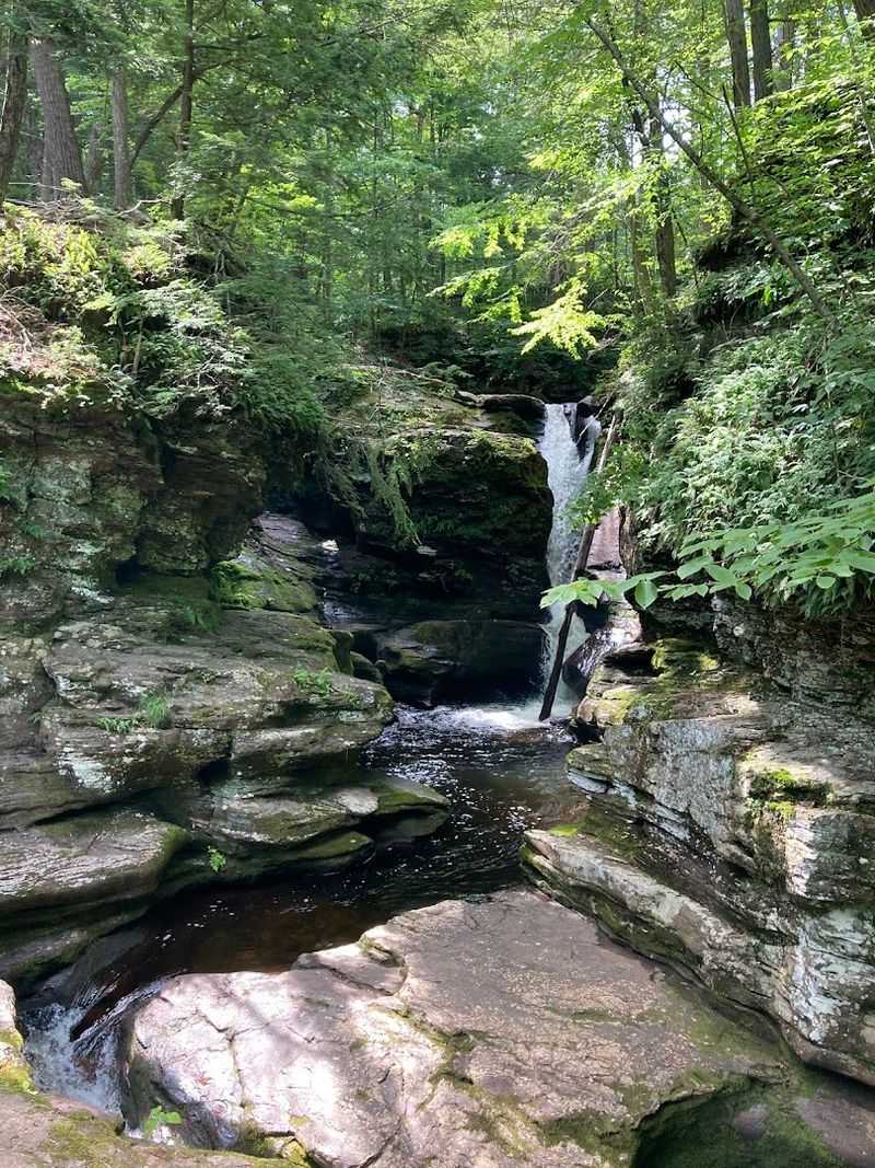 Adams Falls