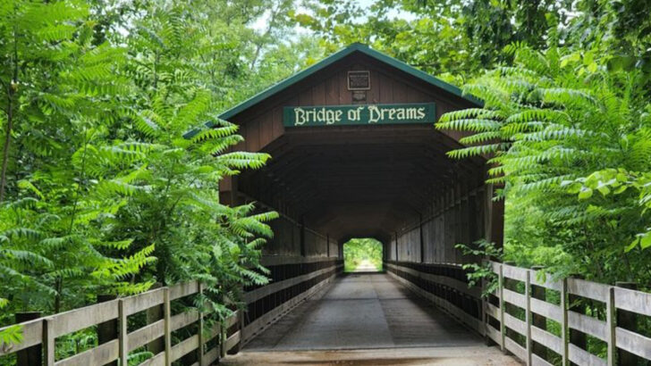 13 Historic Covered Bridges in Ohio Worth The Scenic Detour