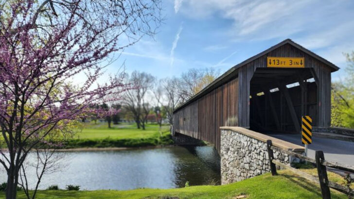 13 Historic Covered Bridges in Pennsylvania Worth The Scenic Drive