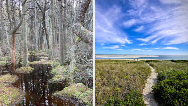 13 Massachusetts Trails With Incredible Forest and Coastal Scenery