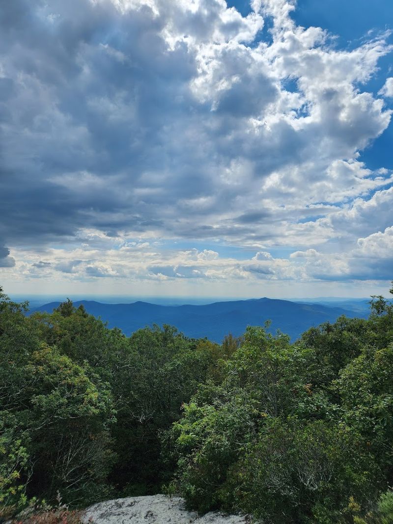 Blood Mountain via Byron Reece Trail 