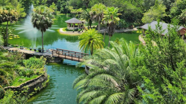 13 Most Relaxing Gardens in Florida for a Slow Afternoon