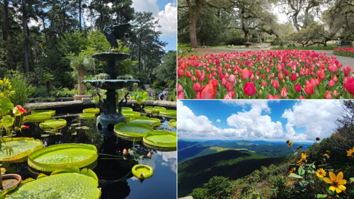 13 North Carolina Attractions That Feel Better Before Summer Crowds