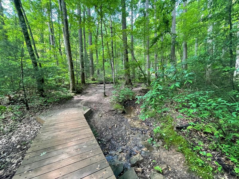 Bent Creek & Carolina Mountain Trail
