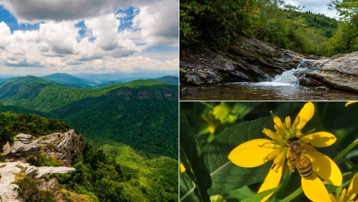 13 North Carolina Hidden Attractions That Feel Especially Scenic During May