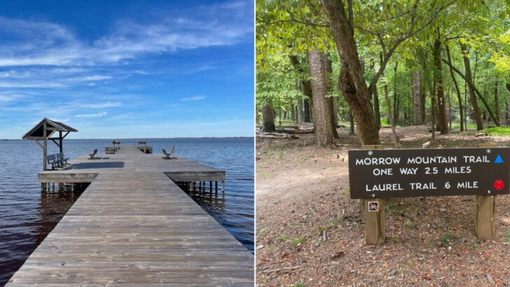 13 North Carolina Hidden Parks Worth Exploring During May