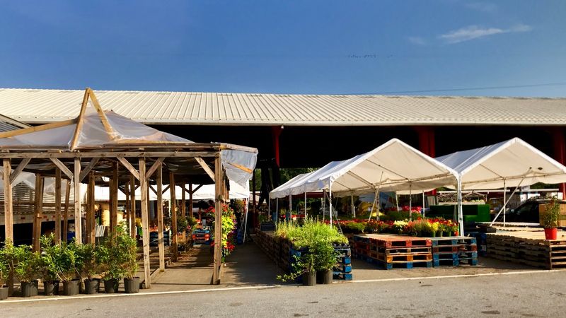 Western North Carolina Farmers Market