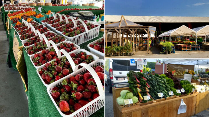 13 North Carolina Outdoor Markets Worth Visiting During May
