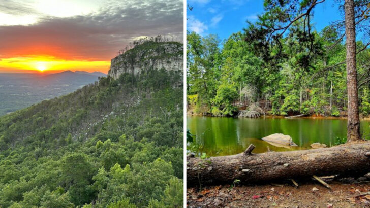 13 North Carolina State Parks Perfect for Warm Spring Afternoons