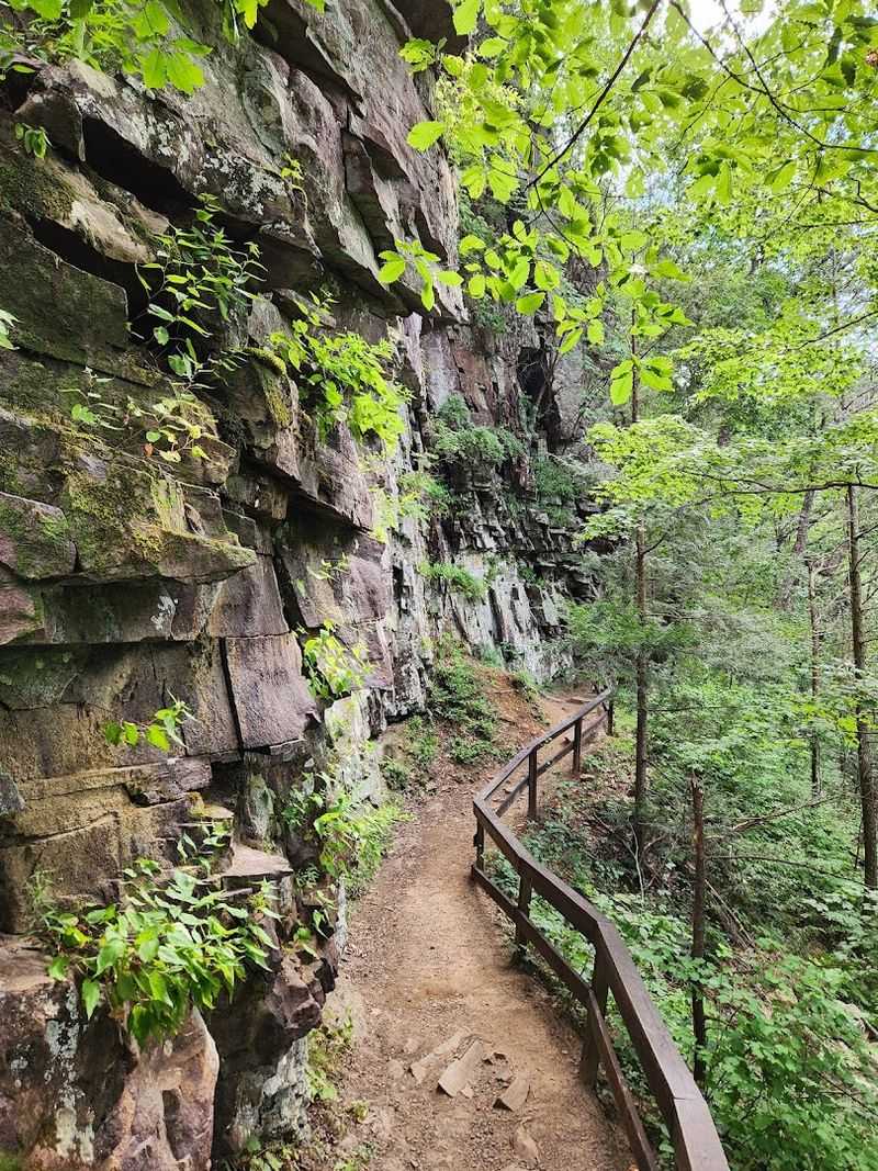 Cloudland Canyon State Park