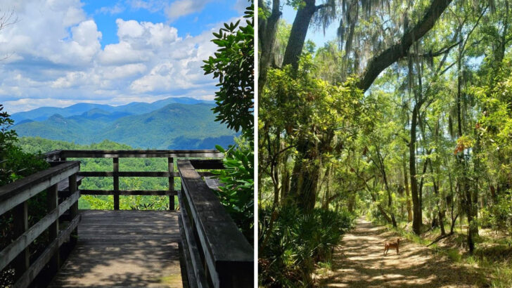 13 Peaceful Georgia Nature Getaways Perfect For A Calm Spring Escape