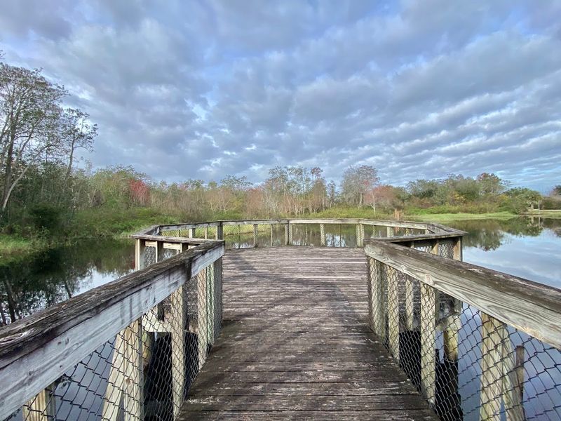 Big Cypress National Preserve
