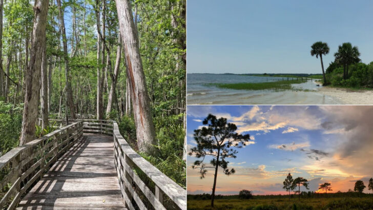13 Quiet Nature Areas in Florida That Feel Surprisingly Peaceful and Uncrowded