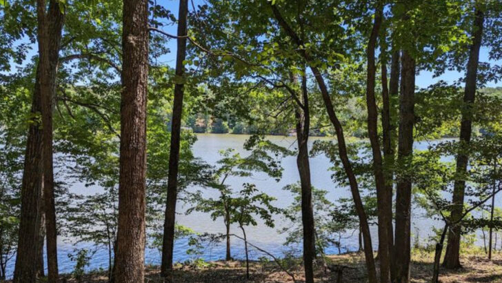 14 Campsites Across Georgia With Unforgettable Views For A Weekend Outdoors