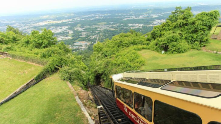 14 Georgia Attractions That Make Family Trips Feel Extra Memorable