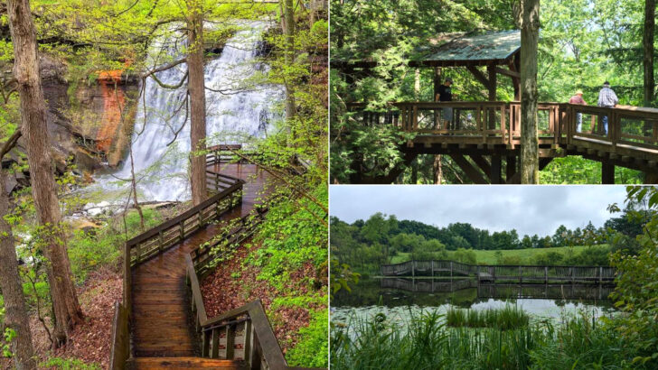 14 Ohio Scenic Stops That Belong on a June Road Trip List
