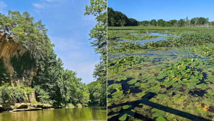 14 Ohio&rsquo;s Most Underrated Nature Walks Come Alive In June