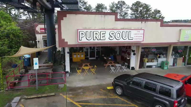 Pure Soul
